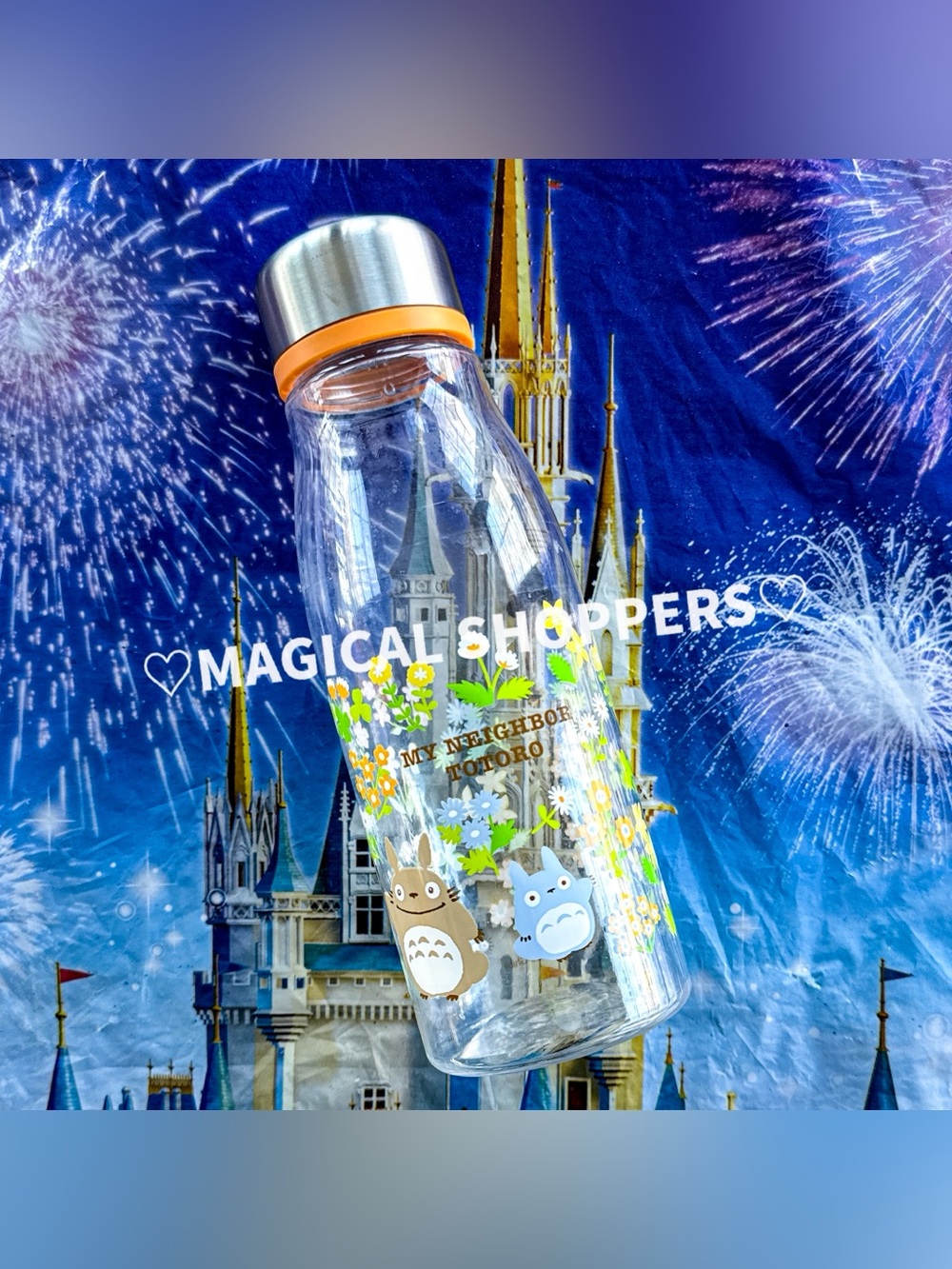 Studio Ghibli My Neighbor Totoro Infuser Water Bottle 500ml